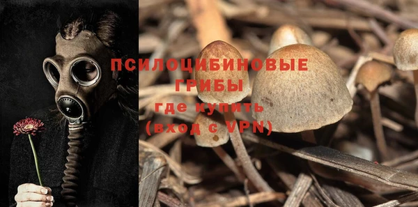 mdpv Балабаново